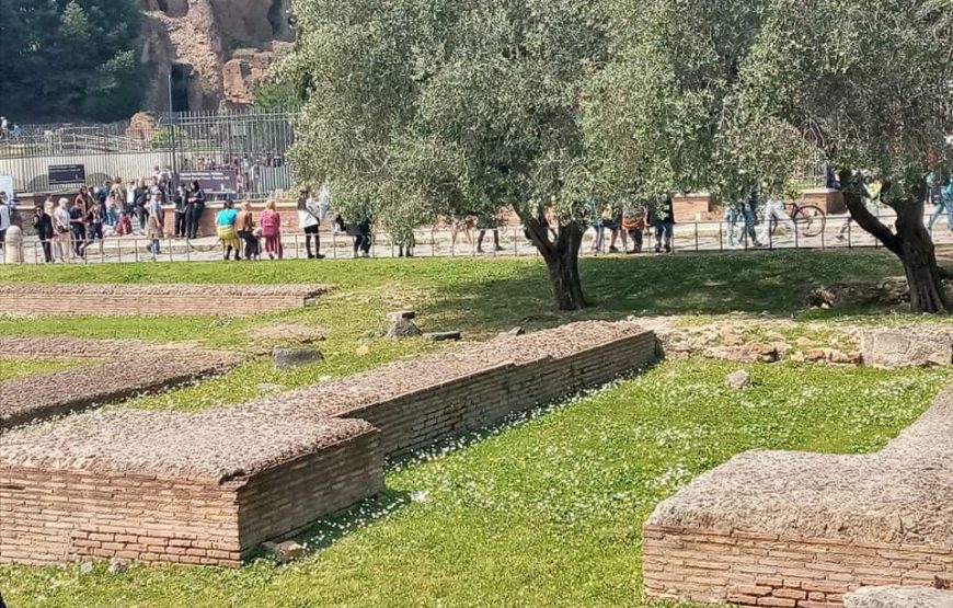 Colosseum & Ancient City VIP