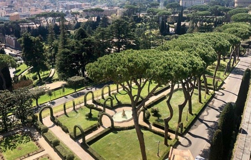 Vatican Gardens & Museums