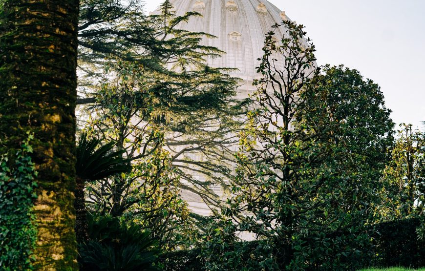 Vatican Gardens & Museums